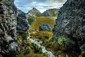 Track to Hanging Lake in Eastern Arthur Range, Southwest Tasmania Track to Hanging Lake in Eastern Arthur Range, Southwest Tasmania