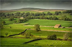 A tranquil view of farmland in the Yorkshire dales, England, United Kingdom
