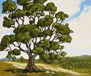 Judi Parkinson Artworks Collection: Tree on Hill landscape Oil Painting