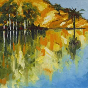 Images Dated 9th May 2017: Trees Reflected in a Lake with Morning Sunlight Original Landscape Artwork