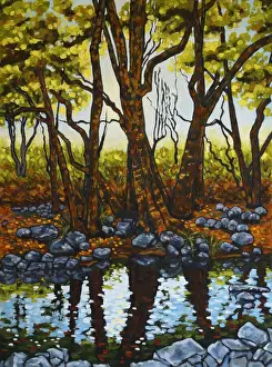 Trees and Rocks Reflected in a River with Afternoon Sunlight Original Landscape Artwork