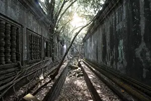 Carving Craft Product Prints: Trees and Thick Brush Consuming the Remaining Walls and Windows at the Unrestored Beng Mealea Temple