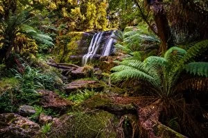 Images Dated 3rd March 2016: Triplet Falls at Great Otway National Park, Victoria