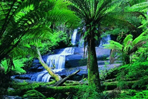 Natphotos Collection: Triplet Falls, Otway Ranges, Great Ocean Road, Victoria, Australia