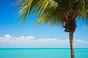 Tropical Broome