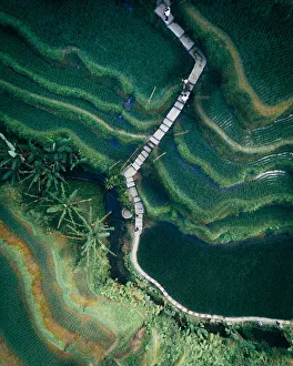 <b class=qtipBold><figcaption>Tropical Greens</figcaption></b><br>Aerials, Merr Watson Aerials, 1010364858<br><em>© Merr Watson</em> Tropical Greens
