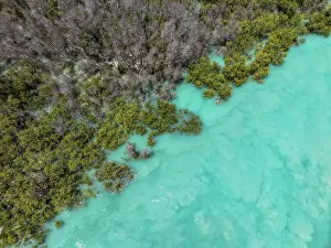 Images Dated 13th July 2023: Turquoise waters at the edge of a forest photographed from an aerial perspective
