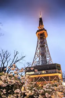 Aerial View Prints: Tv tower, Nagoya
