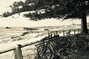 Bicycle Prints: A typical scene on Rottnest Island near Perth Western Australia