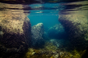 Underwater shot from Green Pools at William Bay National Park Underwater shot from Green Pools at William Bay National Park
