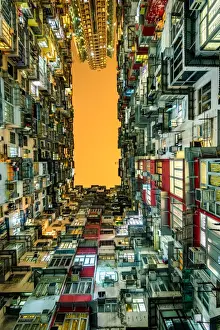Urban Anthill