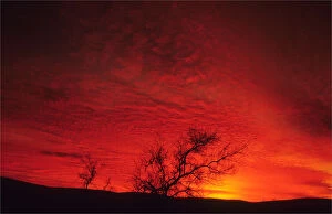 Images Dated 18th April 2014: The vibrant red of a desert dawn in the Flinders Ranges national park, South Australia