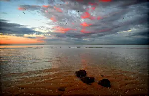 Images Dated 2009 June: Victoria, Australia