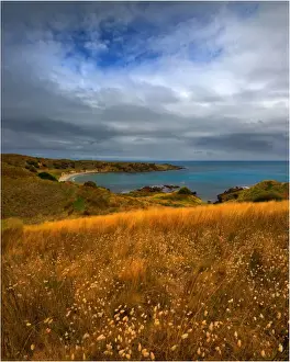 Victoria cove, King Island, Bass Strait, Tasmania, Australia
