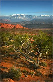 Southwest Usa Prints: A view of Arches National Park