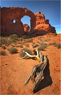 Southwest Usa Prints: A view of Arches National Park