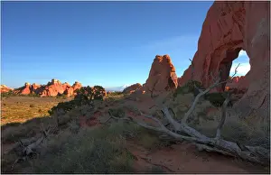 Southwest Usa Prints: A view of Arches National Park