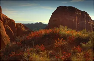 Southwest Usa Prints: A view of Arches National Park