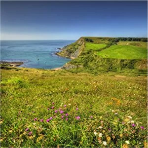 Images Dated 5th September 2012: View to Chapmans pool on the coastline of Dorset England