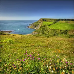 Images Dated 5th September 2012: View to Chapmans pool on the coastline of Dorset England