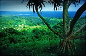 Efate Island Prints: A view to the coastline, Island of Efate, Vanuatu