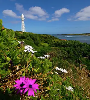 Images Dated 2022 December: A view of Currie Harbour, west coast of King Island, Bass Strait, Tasmania, Australia