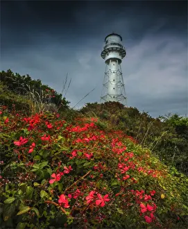 A view to Currie Lighthouse on the rugged and wildly beautiful coastline in the path of the roaring forties, King Island, Bass Strait, Tasmania, Australia