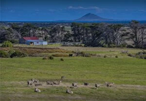 Images Dated 30th March 2017: A view across farmland towards Chappell Island, on the coastline of Flinders Island, Bass Strait