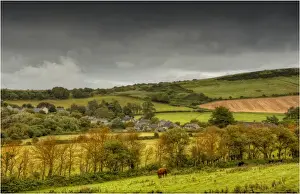 Kimmeridge Prints: A view over farmland, Kimmeridge bay, Jurassic coastline of Dorset, south west England