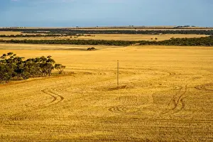 South Ausralia Prints: View of farmland from Pildappa Rock at Erie Peninsula, South Ausralia