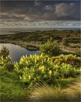 Images Dated 10th November 2012: View to the flooded Scheelite mine, Grassy, King Island, Bass Strait, Tasmania