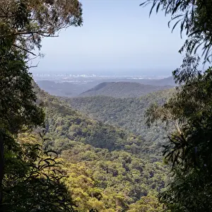 View of the Gold Coast skyline from high up in Springbrook National Park