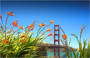 A view of Golden gate Bridge, San Francisco, California