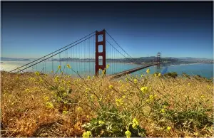 Bridge Man Made Structure Prints: A view of Golden gate Bridge, San Francisco, California