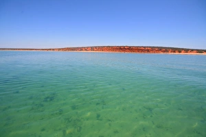 View of the gorgeous red coastline at Shark Bay in Western Australia