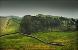 A view of Hadrians wall in the Northumberland district of England