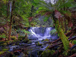 Ian Rolfe's Southern Lightscapes Prints: A view to Horseshoe falls in the Mount Field National Park southern Tasmania, Australia