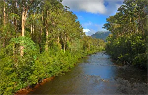 A view of the Huon river near the Tahune airwalk in southern Tasmania A view of the Huon river near the Tahune airwalk in southern Tasmania