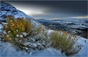 Colorado Prints: View to Mesa Verde, Colorado, south west United States of America