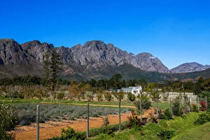 Images Dated 12th May 2014: View of Mountains, Farm and Vineyard in Franschoek, Western Cape, South Africa