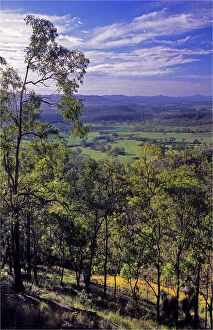 Images Dated 14th December 2013: View near Murwillumbah, Queensland, Australia