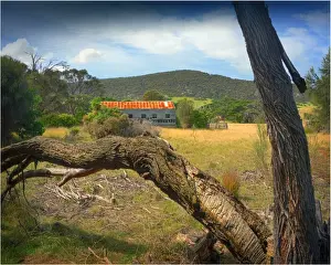View to the old shearing shed, Wybalenna, Flinders Island, part of the Furneaux group, eastern Bass Strait, Tasmania
