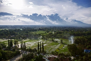 View of Ricefields and the Surroundings in Kewu Plain Near Prambanan, Yogyakarta, Central Java, Indonesia View of Ricefields and the Surroundings in Kewu Plain Near Prambanan, Yogyakarta, Central Java, Indonesia