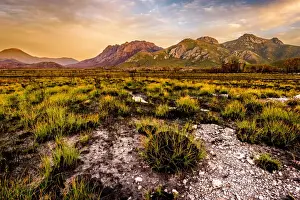 Social Issues Prints: View to the Sentinel Range in Gordon River Valley after 2016 fires. Southwest Tasmania
