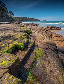 A view of the Tessalated pavement at Pirates bay, Tasman Peninsular, Tasmania, Australia