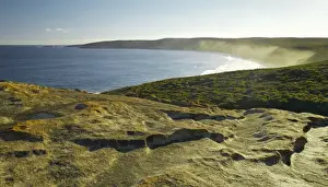 Haze Prints: View Over Weirs Cove - Cape du Couedic
