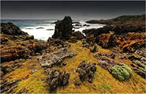 Images Dated 2nd November 2010: A view of the western coastline of King Island, Bass Strait, Tasmania, Australia