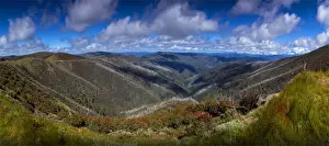 Viewpoint at Mount Hotham, showing the new growth after devastating bushfires