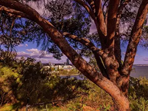 : Viewpoint of Perth City from Kings Park