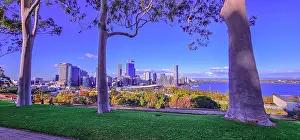 : Viewpoint of Perth City from Kings Park